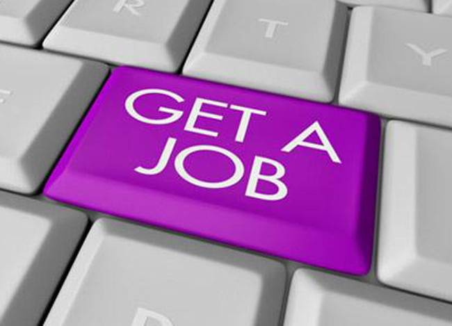 Govt jobs