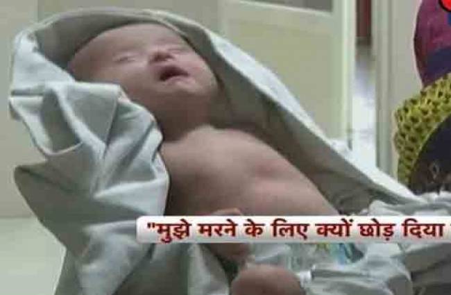 10 दिन की बच्ची को कचरे में फेंका