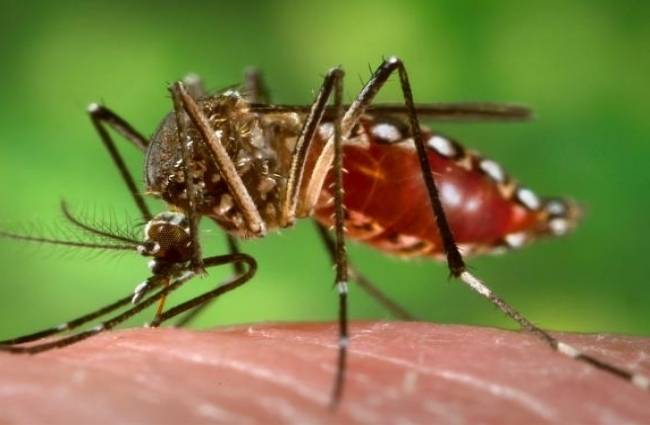 लापरवाही करने वाले लोगों पर भी हो रही है कार्रवाई