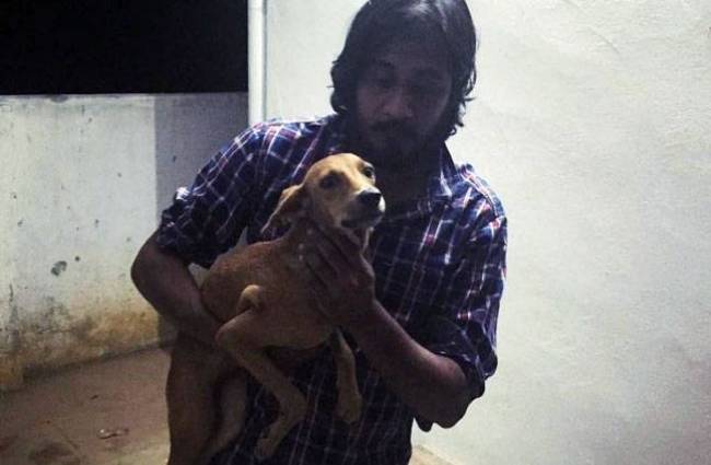 मेडिकल छात्र ने कुत्ते को छत से फेंका था