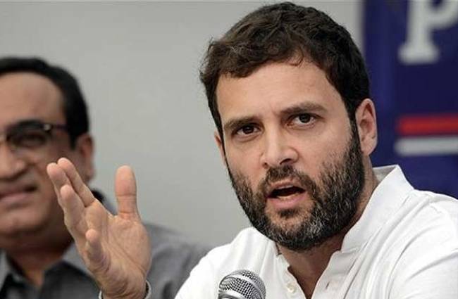 राहुल गांधी, कांग्रेस उपाध्यक्ष