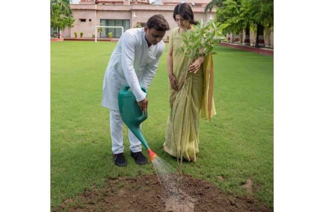 11 जुलाई को 6166 जगहों पर लगाए गए पेड़