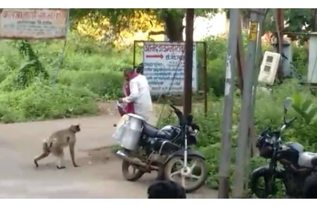 लोगों ने तमाशे का वीडियो बनाया