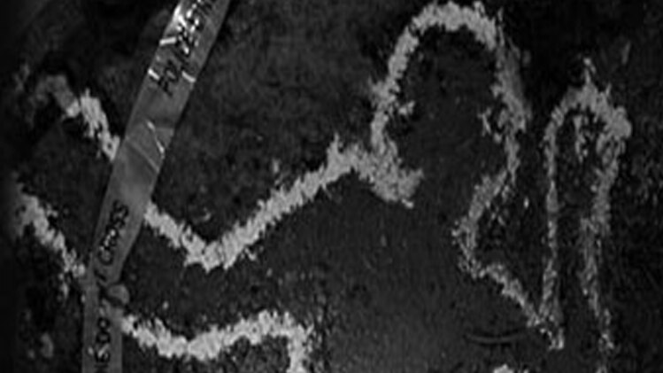 पुलिस मामले की छानबीन कर रही है