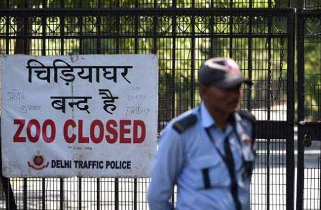 दिल्ली में बढ़ा बर्ड फ्लू का खतरा