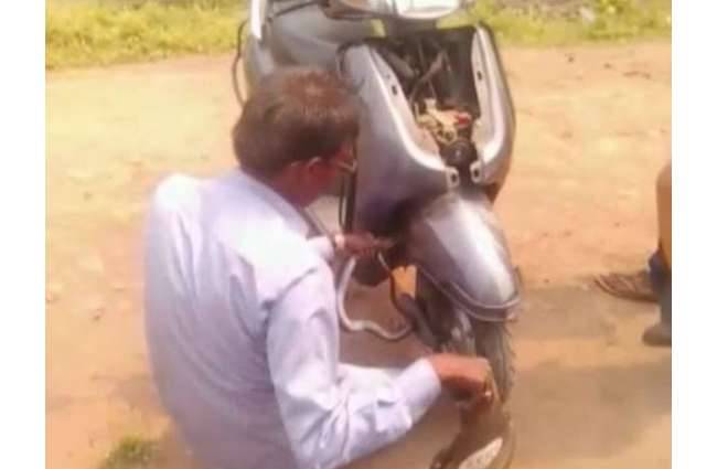 एक घंटे की कड़ी मशक्कत के बाद स्कूटर से निकाला गया सांप