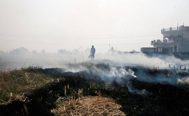 खेतों में आग