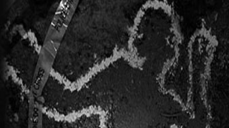 पुलिस ने दोनों शव कब्जे में लेकर पोस्टमार्टम के लिए भेज दिए हैं