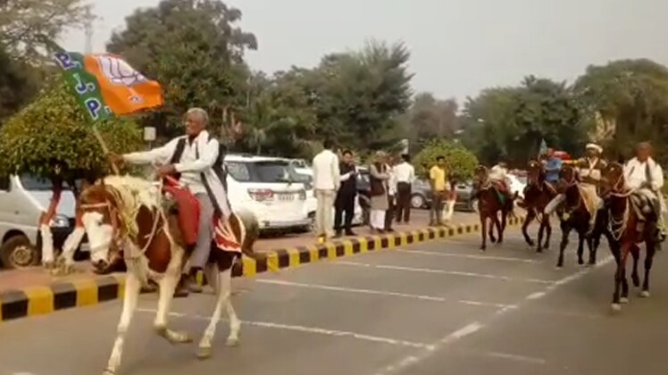 एयरपोर्ट पर घोड़े