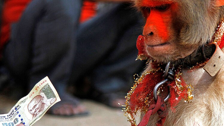 बैंकों में पुराने नोट जमा करने पर फैसला बदला