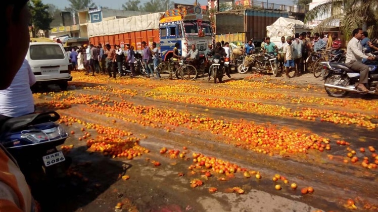 किसानों ने हाइवे पर फेंके टमाटर