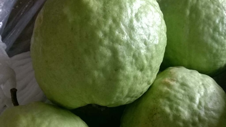 रायपुर का स्पेशल अमरूद