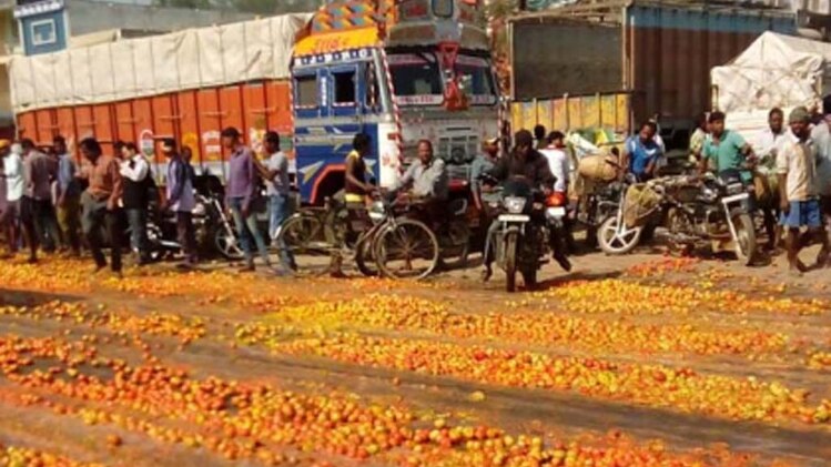 टमाटर फेंकने को मजबूर किसान