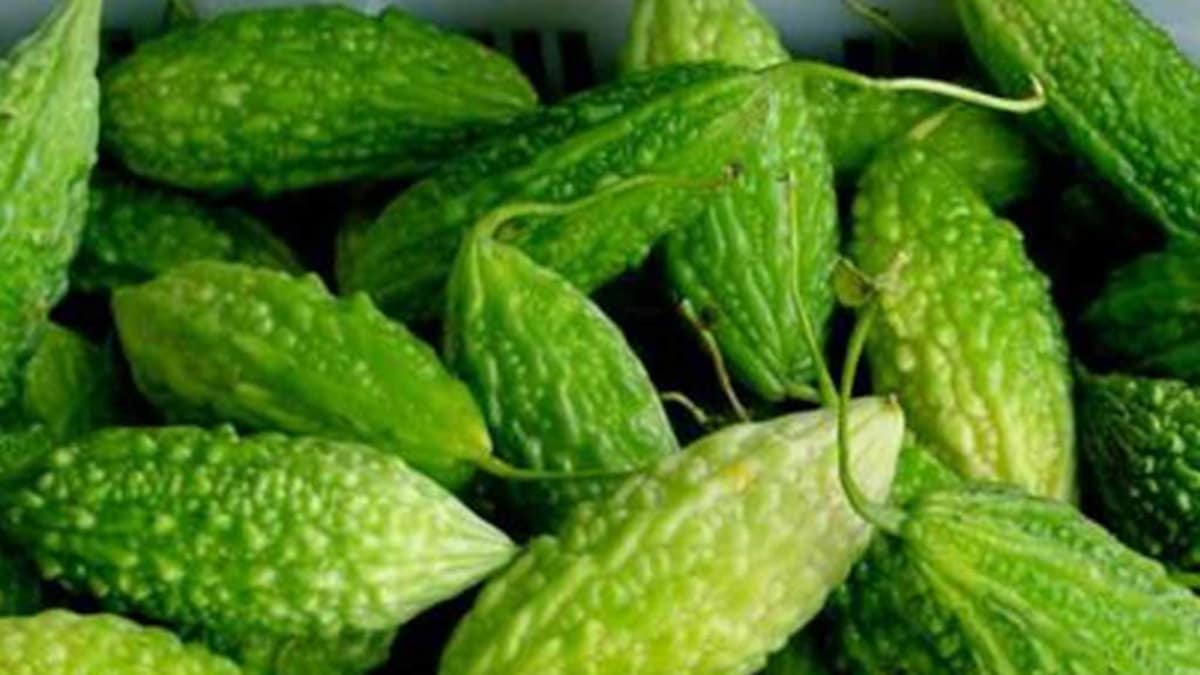 करेले के ये 5 फायदे आपको कर देंगे हैरान... - 5 health benefits of bitter gourd karela - AajTak