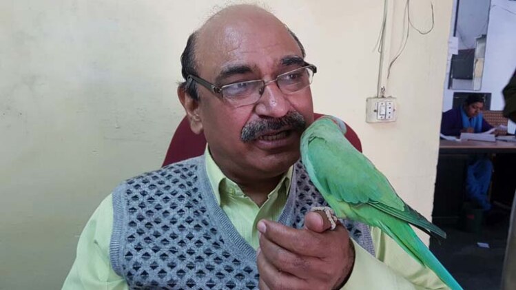 तोते को ढूढने में डीएसपी साहब ने दिन-रात एक कर दिए