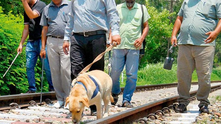 आतंकी हमला नाकाम होने से गुस्साए आईएसआई आकाओं ने सुनाया था कत्ल का फरमान