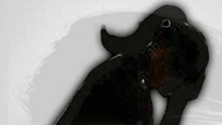 पुलिस ने आरोपी को गिरफ्तार कर लिया है