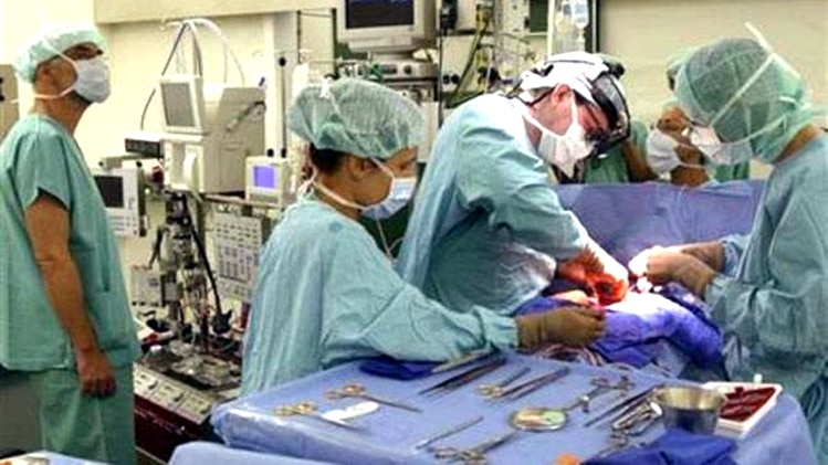 चार घंटे तक ऑपरेशन कर 150 केंचुए निकाले