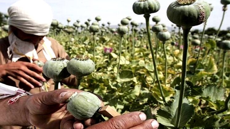 बिहार में गया के बाद समस्तीपुर में हुआ भंड़ाफोड़ 