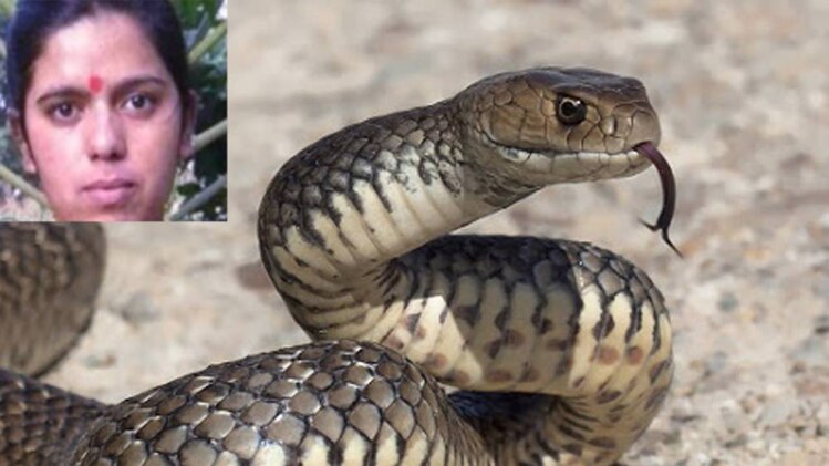 35 बार काट चुके हैं इस लड़की को सांप (इनसेट में मनीषा)