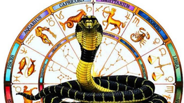 कालसर्प दोष 