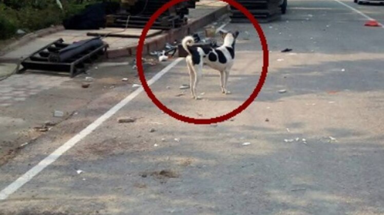 आप के दफ्तर का बदला नजारा!