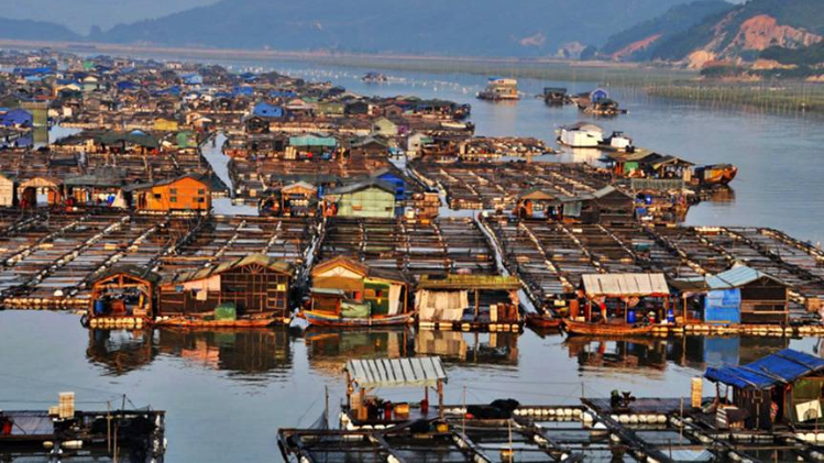 इस गांव का हर आदमी 24 घंटे रहता है पानी में, जानिये क्यों... - village in water china - AajTak
