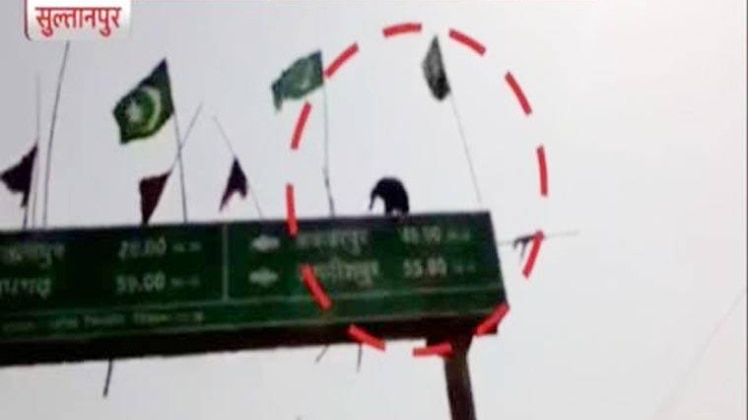 इलाके में सनसनी