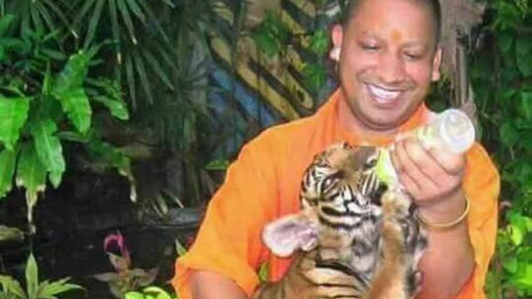 योगी बन सकते हैं यूपी के सीएम!