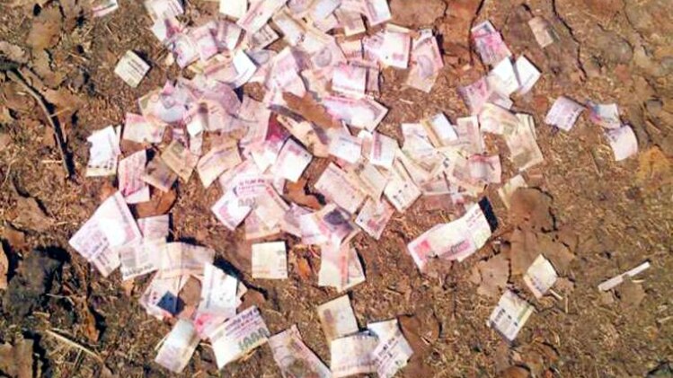 सांकेतिक तस्वीर