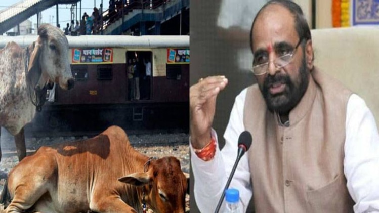 अब गऊ अभ्यारण्य बनाने की तैयारी में सरकार? 