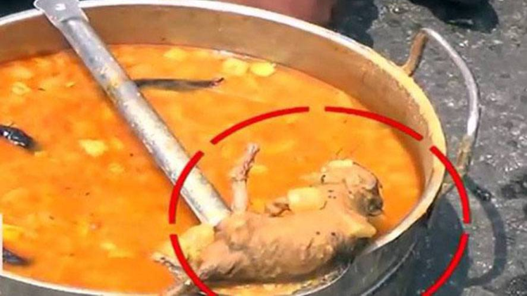 बच्चों को मिलने वाले Midday Meal में मरा चूहा भी 