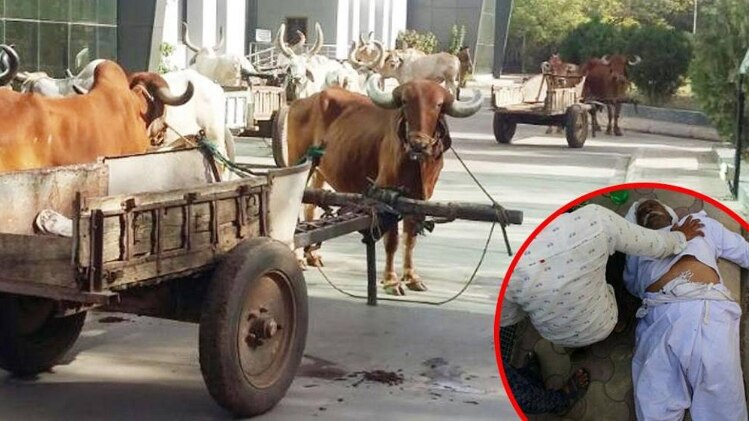 विरोध प्रर्दशन के दौरान एक किसान की मौत 