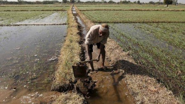 अपने खेत में काम करता किसान