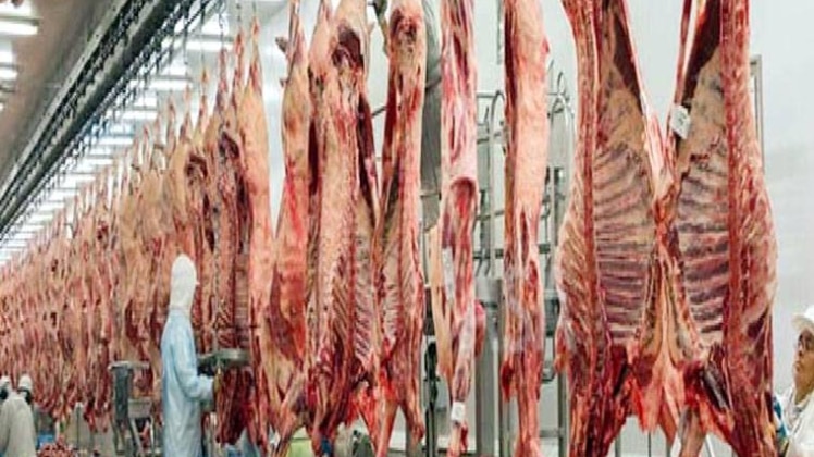 देहरादून में अवैध बूचड़खानों पर प्रशासन का डंडा 