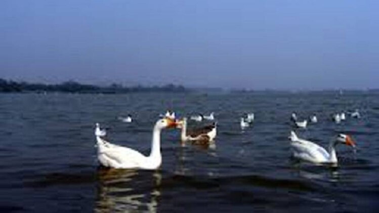 सुखना झील