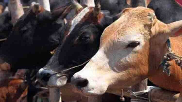 केंद्र ने जारी की थी अधिसूचना  