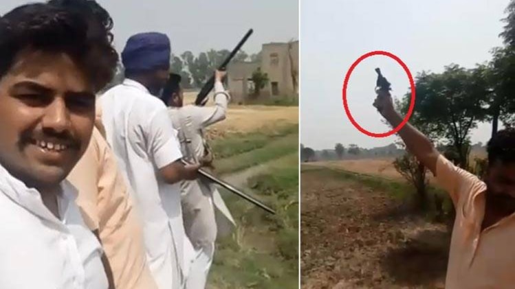 खेतों में चलाई ताबड़तोड़ गोलियां