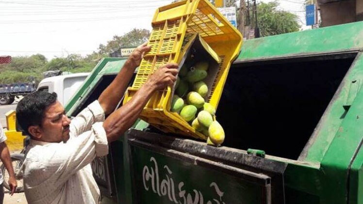 पिछले 15 दिनों में स्वास्थ्य विभाग ने कुल 32 टन आम का नाश किया है.