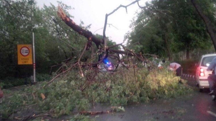 फाइल फोटो