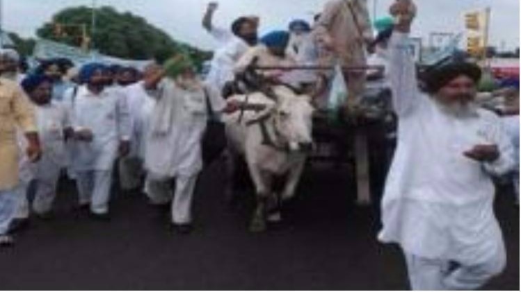 पंजाब के किसान (फाइल फोटो)