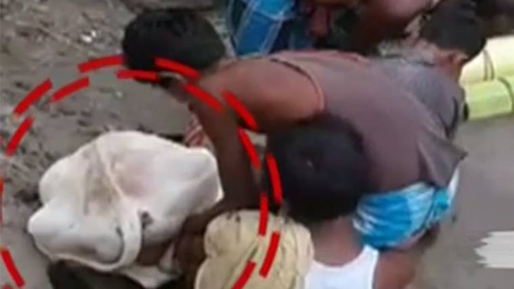 फाइल फोटो