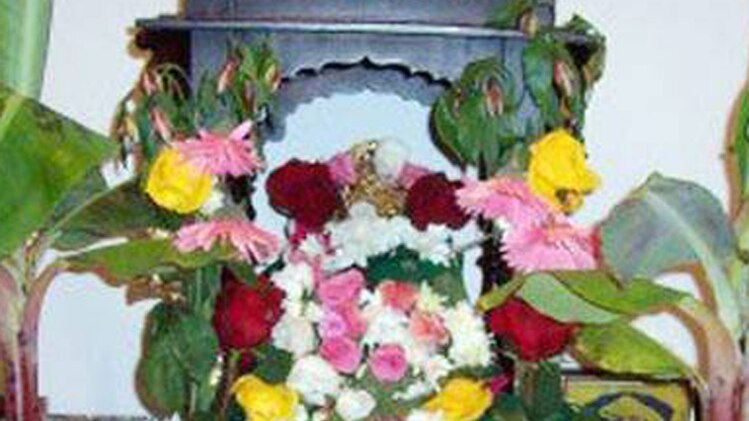 केले का पेड़