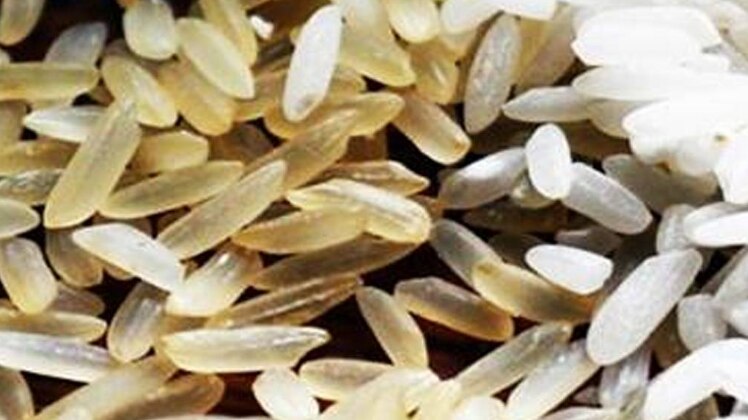 प्रतीकात्मक तस्वीर