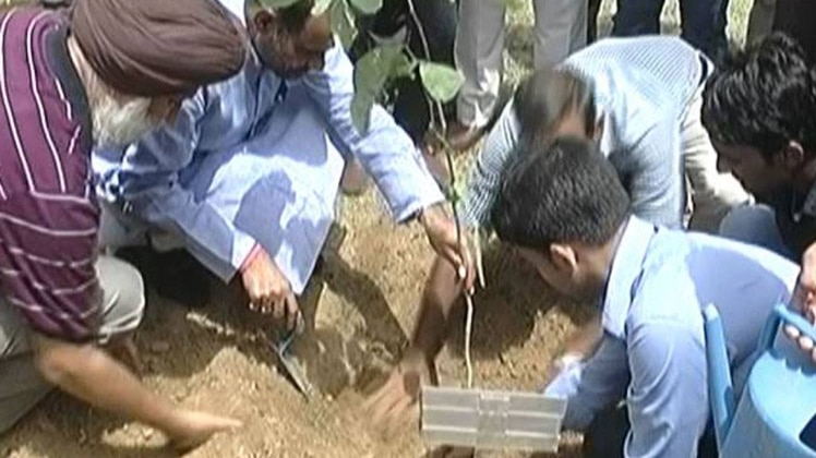  पर्यावरण दिवस के मौके पर वृक्षारोपण