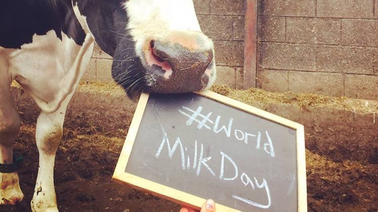 वर्ल्ड मिल्क डे पर जाने दूध के चौंकाने वाले फायदे 