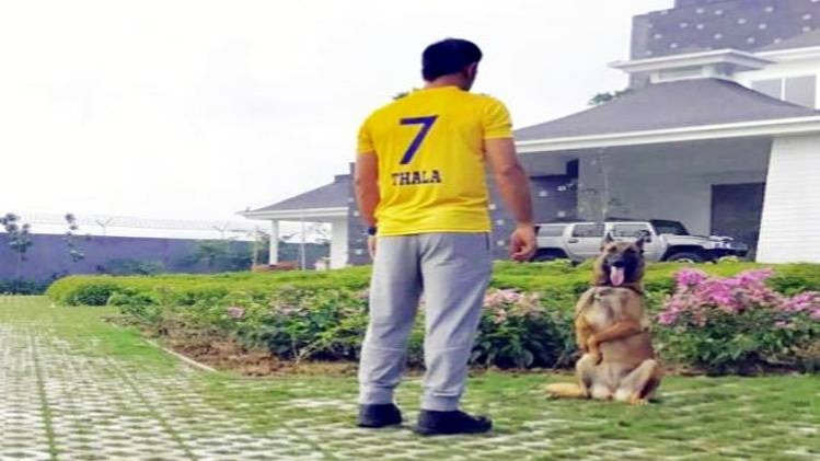 इंस्टाग्राम पर धोनी की तस्वीर