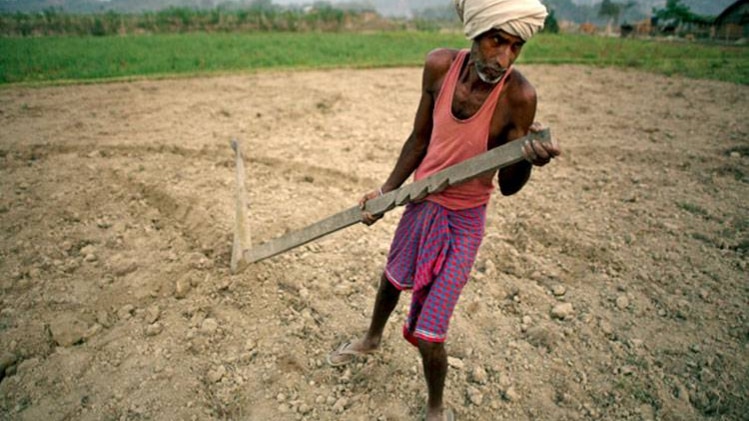 प्रतीकात्मक तस्वीर 