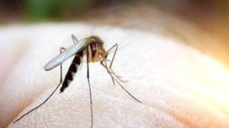 प्रतीकात्मक तस्वीर