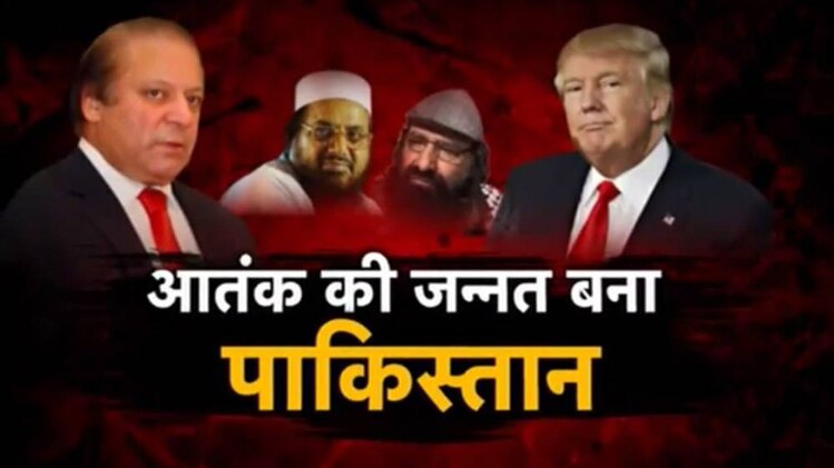 पाकिस्तान ने जिस आतंकवाद को पनाह दी वही उसके लिए सिरदर्द बन गया है